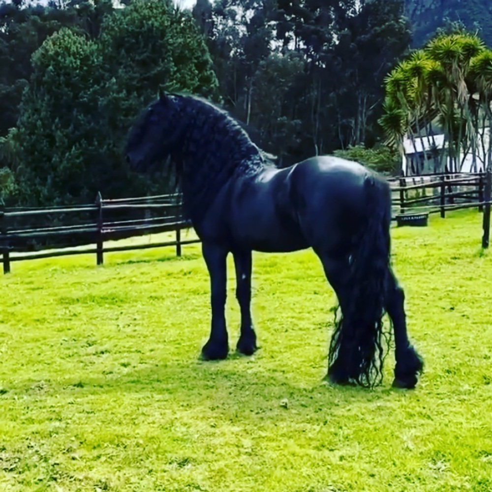 Meet your Posher, Boakye